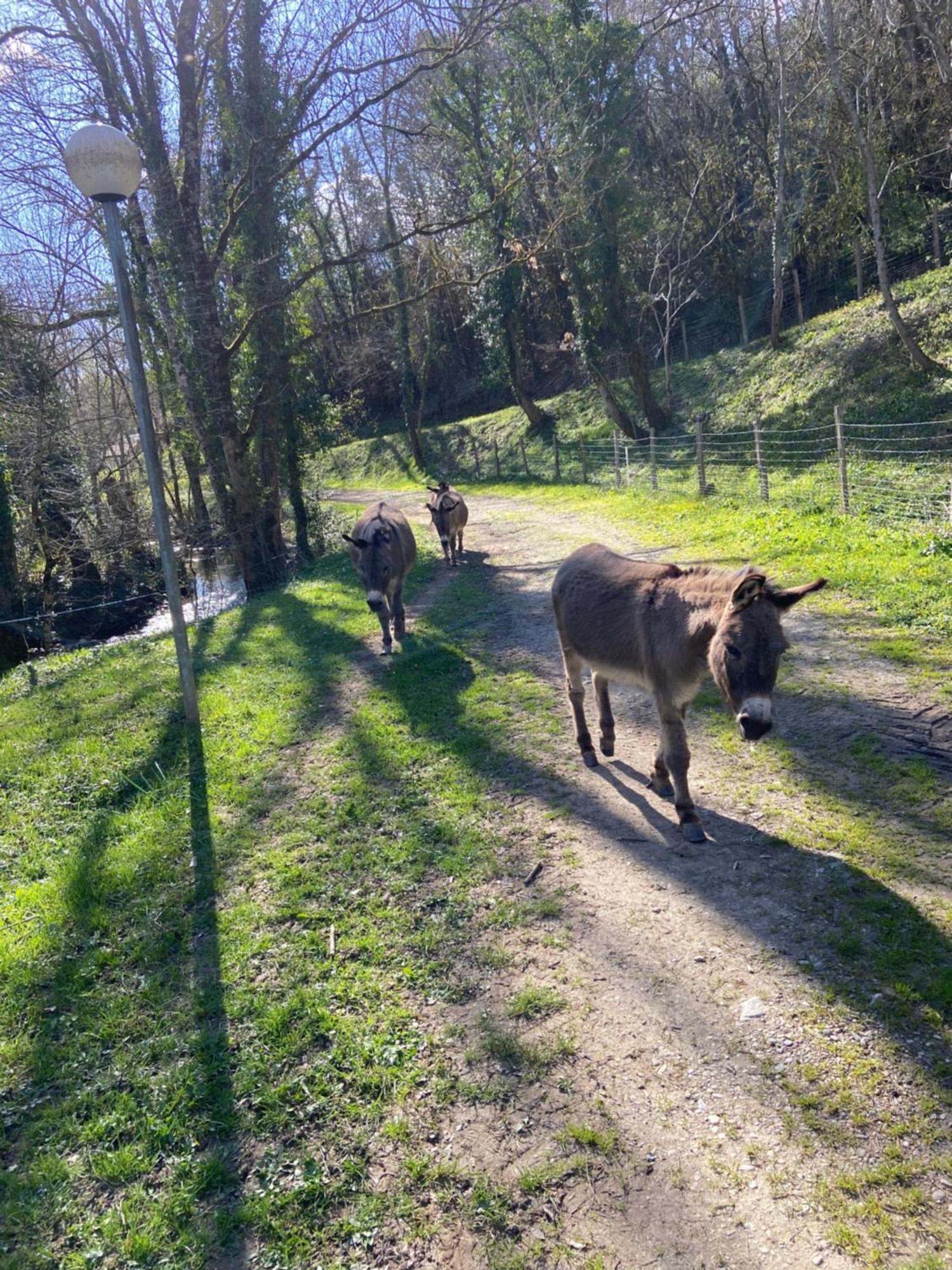 La Bastide D'Albignac Hotell Le Dourn Exteriör bild