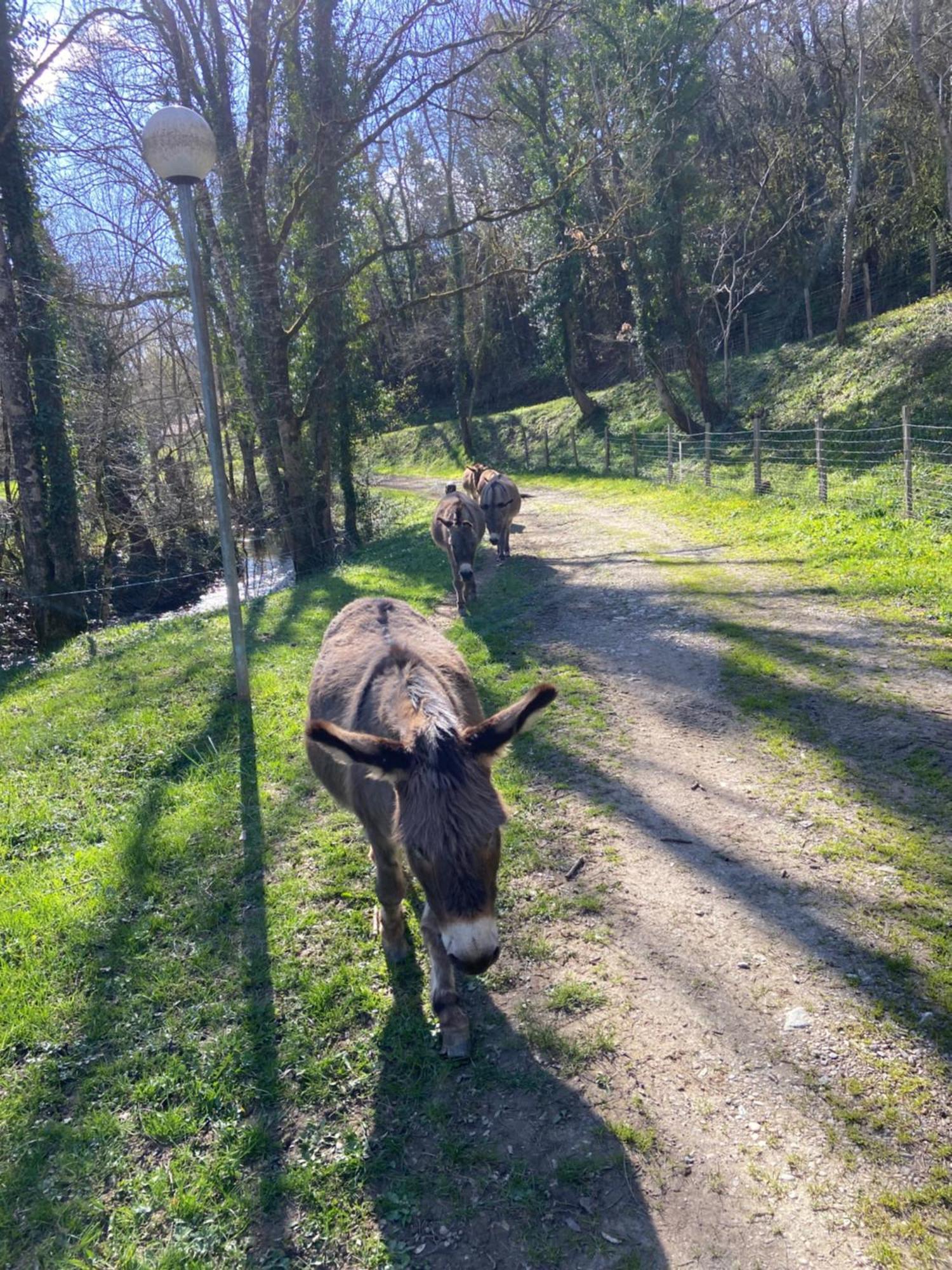 La Bastide D'Albignac Hotell Le Dourn Exteriör bild